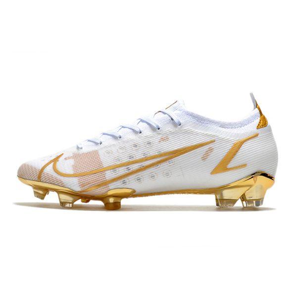 Nike Mercurial Vapor 14 Elite White and Gold FG