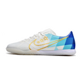 Nike Vapor 15 Academy Argentina Pack IC