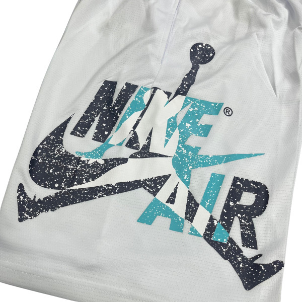 Nike Air Jordan White Grey Blue Shorts