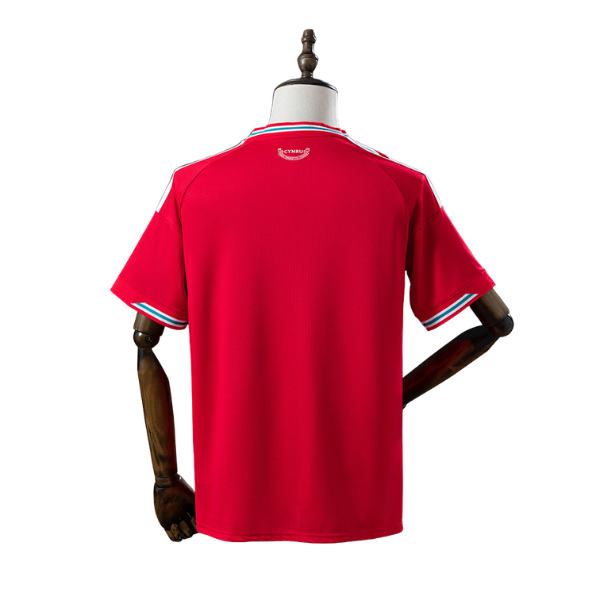 Wales Adidas 2026 Home Fan Version Football T-Shirt