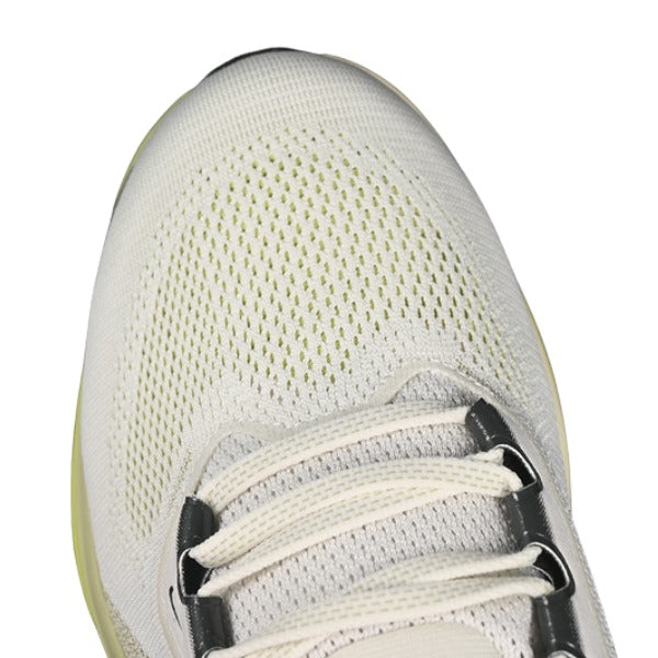 Nike Air Zoom Pegasus 41 Gray and Beige Running Shoes