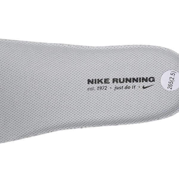 Nike Air Zoom Pegasus 41 Gray and White Running Shoes