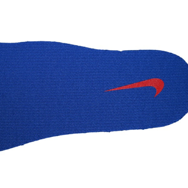 Nike P-6000 Sliver and Blue Running Shoes